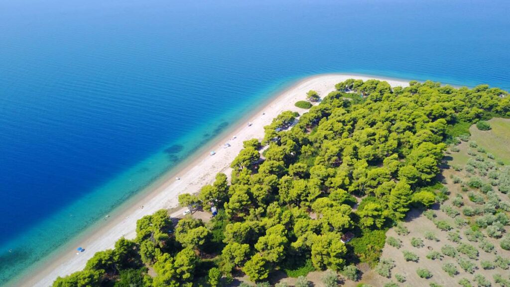 rovies paralia1